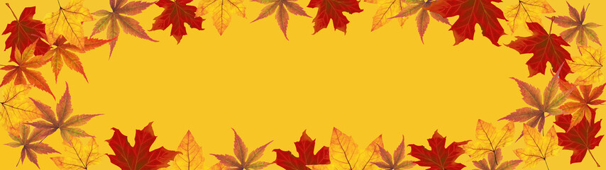 Wall Mural - autumn – frame of colorful leaves isolated on yellow texture – background panorama banner long