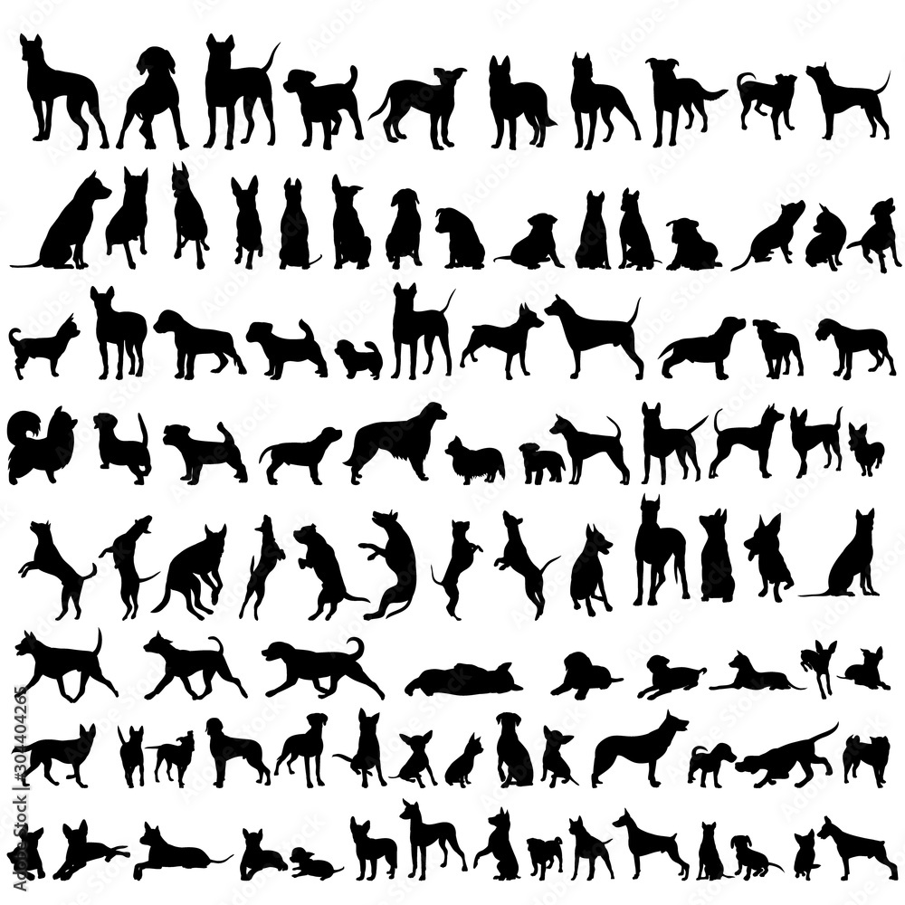 vector, on a white background, black silhouette of a standing dog, set - obrazy, fototapety, plakaty 