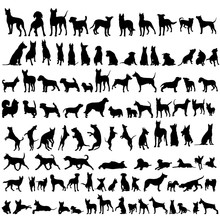 Vector, On A White Background, Black Silhouette Of A Standing Dog, Set