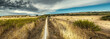 Panoramic view of a dirt path under a cloudy sky