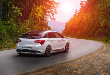 Wall Mural - car rides on winding highway in an autumn forest