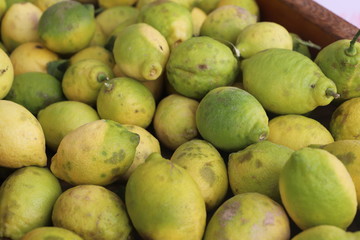 closeup of lemons exposed to the market