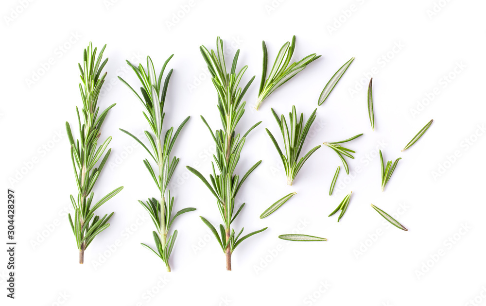 Rosemary isolated on white background. Top view. - obrazy, fototapety, plakaty 