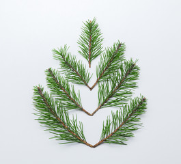 Pine branches on a white background