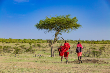 bush walk with masaais in masai mara