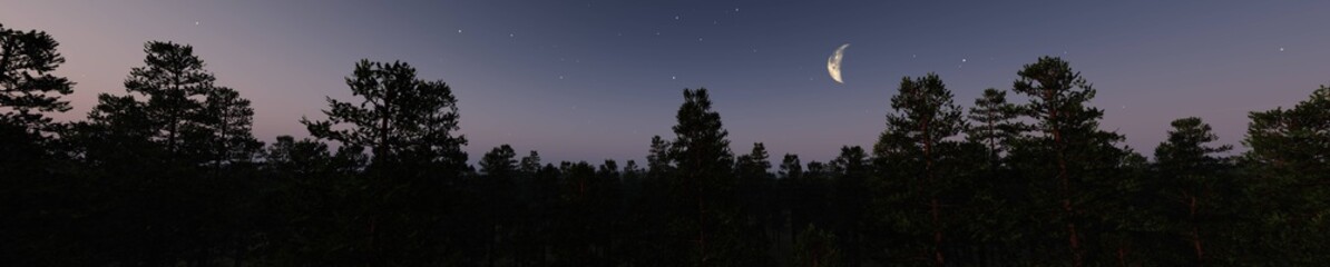 Silhouettes of trees against the background of the night sky. 3d rendering.