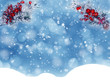 © Anastasia Tsarskaya - winter christmas background with snow and fir branches frame