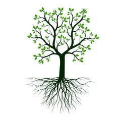 Sticker - Green Tree with Leaves and Roots. Vector outline illustration on white background.