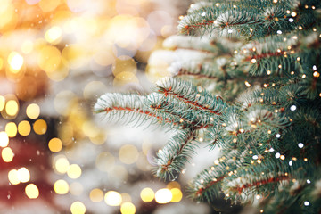 Wall Mural - christmas tree outdoor with snow, lights bokeh around, and snow falling, christmas atmosphere.