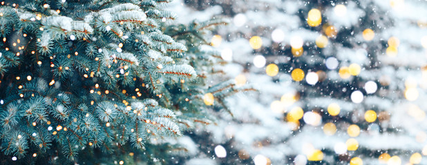 Wall Mural - christmas tree outdoor with snow, lights bokeh around, and snow falling, christmas atmosphere.