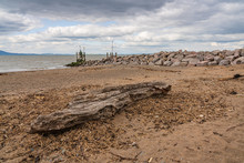 Driftwood On The West Beach In Silloth, Cumbria, England, UK