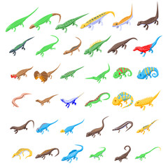 Sticker - Lizard icons set. Isometric set of lizard vector icons for web design isolated on white background