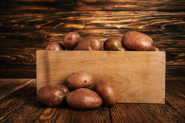 Wall Mural - fresh ripe potatoes in box and around on wooden background