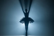 © kohanova1991 - Ballerina in black tutu dress dancing on stage with magic blue light and smoke. Silhouette of young attractive dancer in ballet shoes pointe performing in dark.