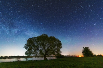 Wall Mural - a magical starry night on the river bank with a large tree and a milky way in the sky and falling st