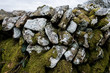 © Mint Images - Close up view of dry stone wall covered with moss