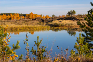 Autumn warm, sunny autumn in the forest against the backdrop of the lake. Green pine trees and bright yellow birches in the reflection of a clear blue river with a cloudless sky.