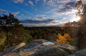 Sticker - Gorges de Franchard in autumn season.Fontainebleau forest