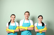 © Pixel-Shot - Team of janitors on color background