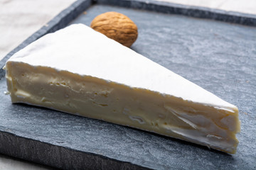 Cheese collection, piece of French brie cheese with white mold