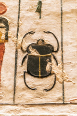 Canvas Print -  Scarab in Seti I Tomb Valley of the Kings Egypt