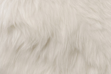 Wall Mural - White flufy textile close-up. Faux fur background.