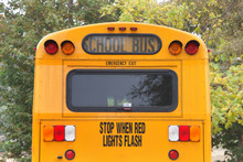 Rear Of A Traditional Yellow School Bus With Trees All Around. School Bus Yellow Is A Color That Was Specifically Formulated For Use On School Buses In North America In 1939.