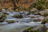 Fototapeta  - Rocky River in the Fasll