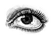 Beautiful women eye with a long lashes. Ink black and white drawing