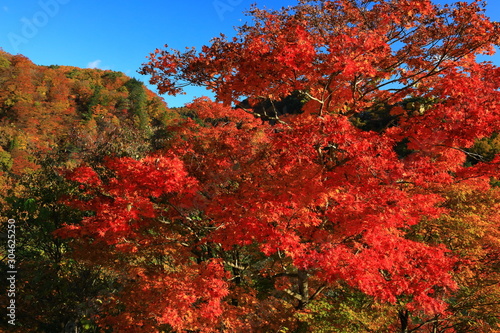 岩手県西和賀町 紅葉の錦秋湖 Buy This Stock Photo And Explore Similar Images At Adobe Stock Adobe Stock 岩手県西和賀町 紅葉の錦秋湖 Buy This Stock Photo And Explore Similar Images At Adobe Stock Adobe Stock