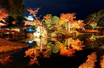 Wall Mural - Night scenery of illuminated maple trees in historical Garden, with beautiful autumn foliage reflected in the lake water & the white Hikone Castle lighted up in the background in Shiga, Japan