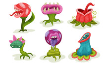 Set Of Predatory Flowers And Plants. Vector Illustration.