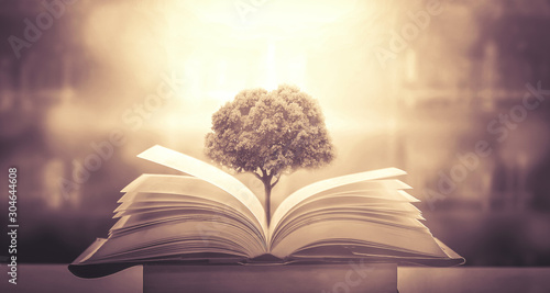 Fotografía The concept of education by planting a tree of knowledge in the opening of an old book in the library and the magical magic of light that flies to the destination of success