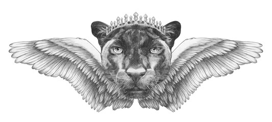 Wall Mural - Portrait of Panther with wings. Hand drawn illustration. 