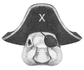 Wall Mural - Portrait of Duck with pirate hat and eye patch. Hand-drawn illustration.	