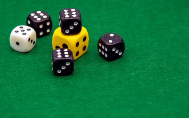 Different in color dice on a green background.