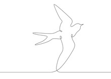 Continuous Line Drawing Bird Flying