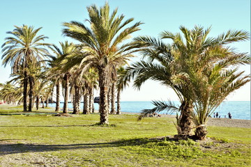 Wall Mural -  landscape of Almuñecar, Granada, Andalusia, Spain, Tropical coast, holidays, Mediterranean sea,