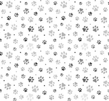 Paw Seamless Pattern Vector