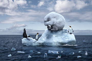 polar bear sits on a melting glacier