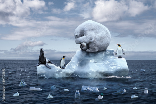 Fotografía polar bear sits on a melting glacier