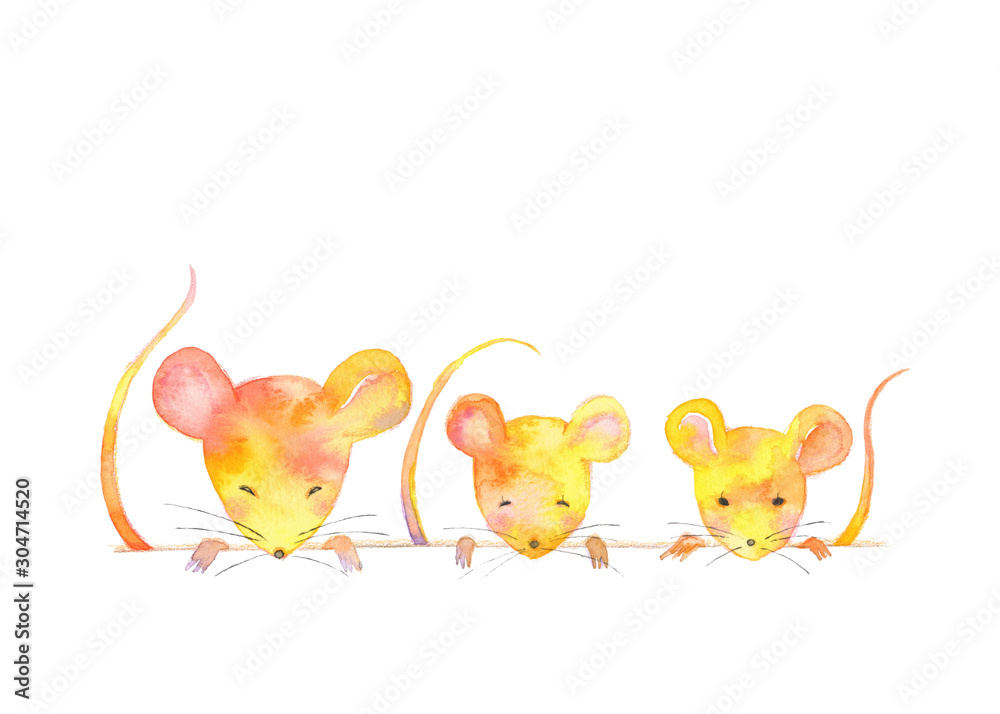 可愛いねずみ 3匹 Wall Mural Wallpaper Murals Wallsheaven Izumikobayashi