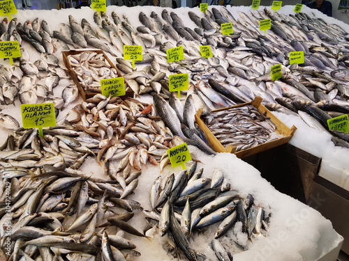 Featured image of post Steps to Make Turkey Fish Market