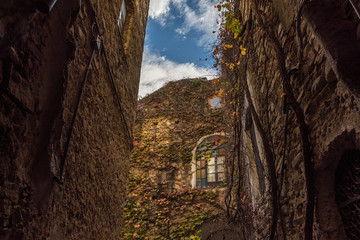 Wall Mural - The Italian city of ghost or the city of artists Bussano Viecha. Golden autumn, yellow leaves, blue sky and sun!