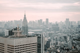 Fototapeta  - Tokyo skyline from above