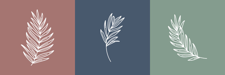 set of tropical leaves. outline palm leaf and olive branch in a modern minimalist style. vector illu