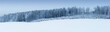 Panorama verschneiter Winter Wald, blauer Himmel