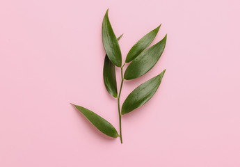 Eco concept. Green leaves on a pink pastel background. Top view