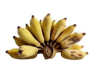 bunch of bananas (Kluai Nam Wa) isolated on white background