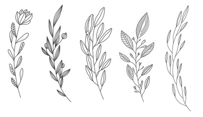 Flowers Leaf Line Art